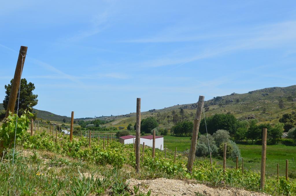 Willa Quinta Vale Da Prata Celorico Da Beira Zewnętrze zdjęcie
