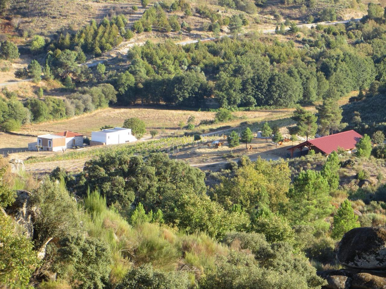 Willa Quinta Vale Da Prata Celorico Da Beira Zewnętrze zdjęcie